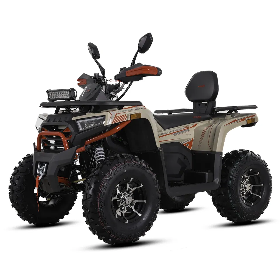 ASIX Challenger 250RR T3B pilt 12