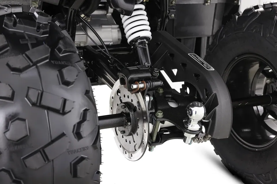 ASIX Challenger 250RR T3B detail 33