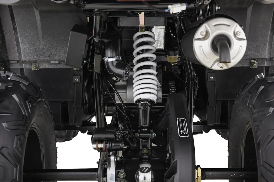 ASIX Challenger 250RR T3B detail 32