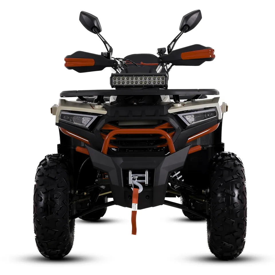 ASIX Challenger 250RR T3B detail 14