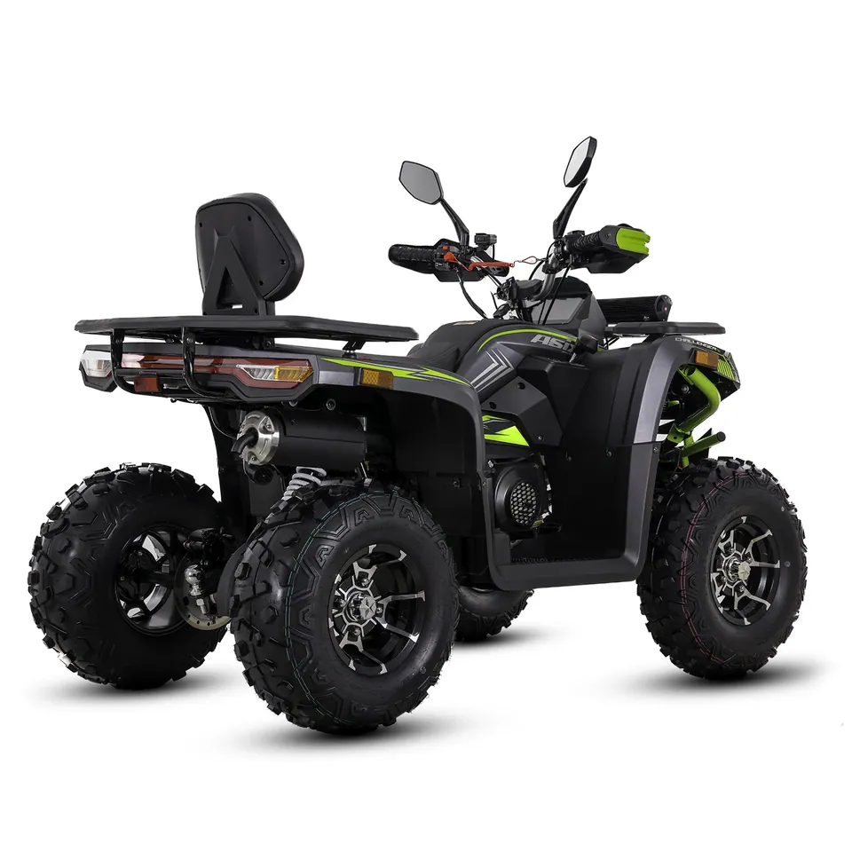 ASIX Challenger 250RR T3B pilt 3