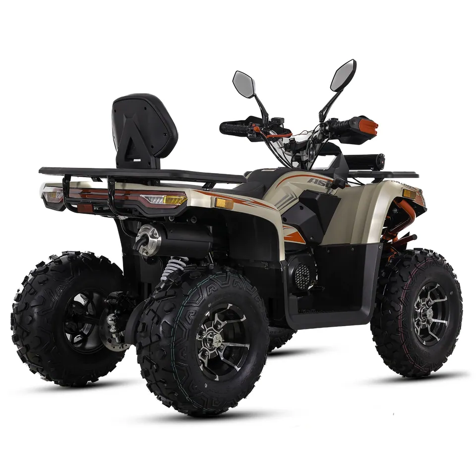 ASIX Challenger 250RR T3B pilt 9