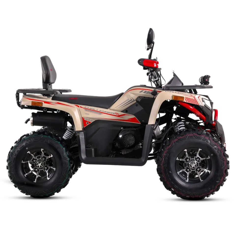 ASIX Challenger 250RR T3B detail 35