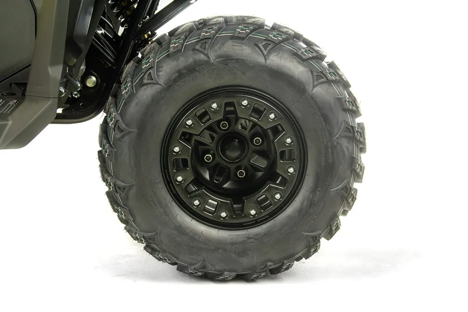 ASIX Gladiator 200 RR detail 32
